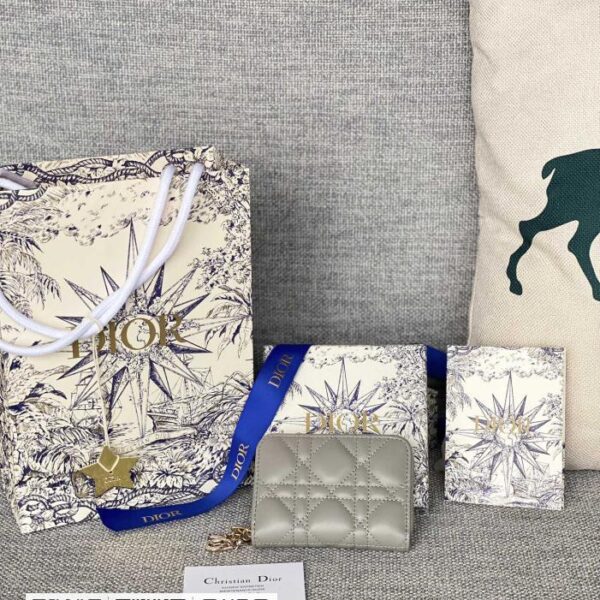 Dior 30 montaig小包