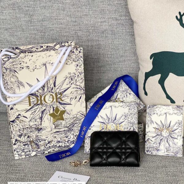 Dior 30 montaig小包