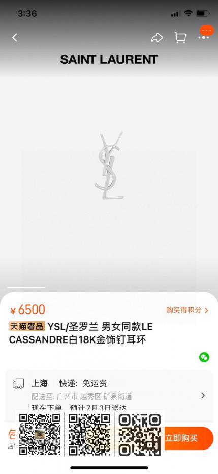 YSL 字母耳钉 - Image 7