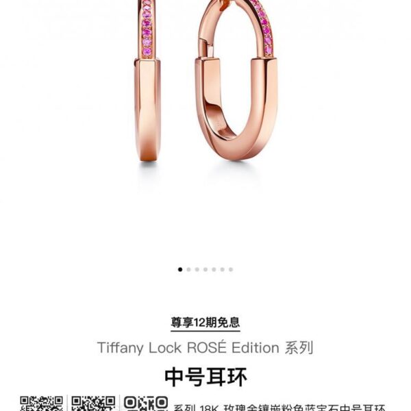 Tiffany lock粉钻锁头耳环