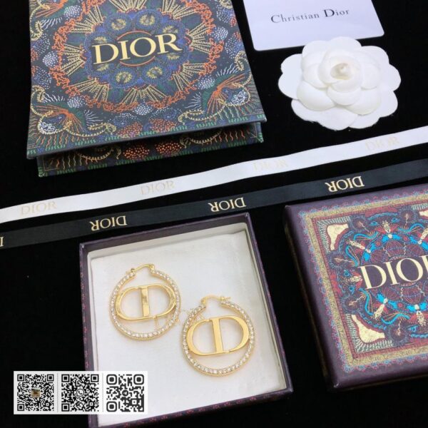 Dior CD字母 钻孔耳环 925银针(B5E9)